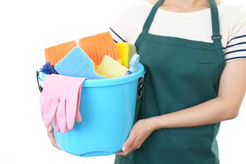 Professional oven cleaning service in a Knightsbridge kitchen