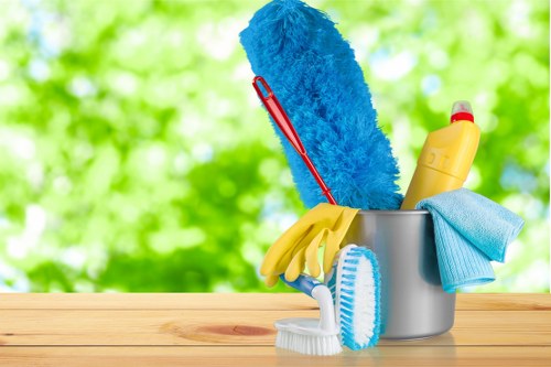 Carpetcleaning Knightsbridge team using sustainable cleaning practices in a London setting