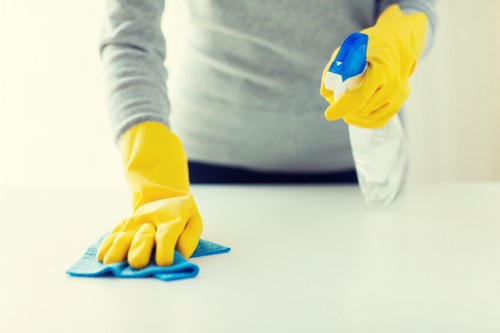 Person using a screen reader while browsing carpet cleaning information
