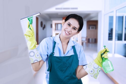 Professional cleaning of large apartment glass in Knightsbridge