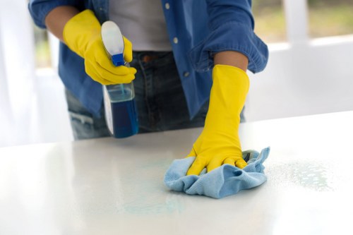 Detailed kitchen cleaning for a new home in Knightsbridge