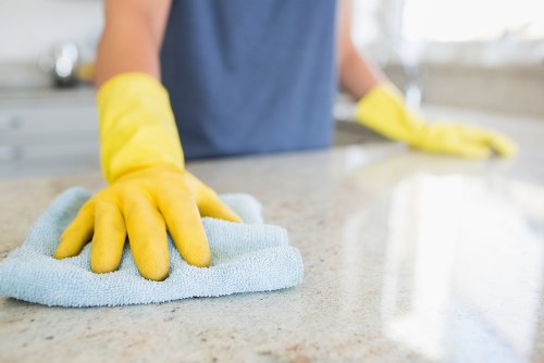 Support note for accessibility requests on a cleaning service page