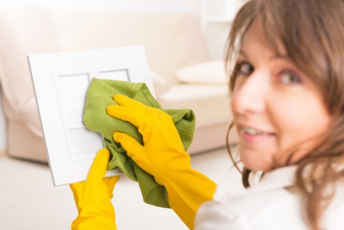 Regular domestic cleaning service in Knightsbridge